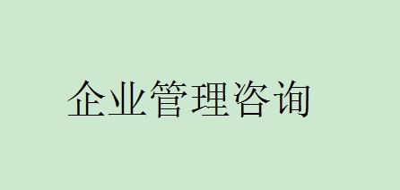 企業(yè)管理咨詢(xún)